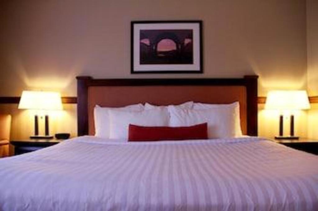 טרי הילס Best Western Diamond Inn מראה חיצוני תמונה
